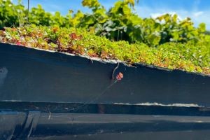 system typu zielona rynna