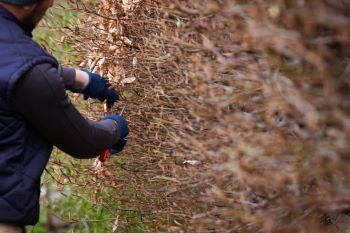 Sprzątanie Ogrodu Na Zimę Stanisławów